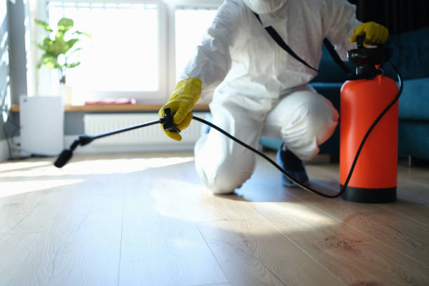 Reliable Sewage Cleanup contractor in Klamath, CA by Trauma Clean Pros